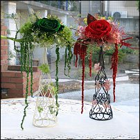 www.floristic.ru - Флористика. Стабилизированные или консервированные растения - аналог искусственных цветов!