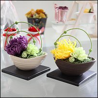 www.floristic.ru - Флористика. Стабилизированные или консервированные растения - аналог искусственных цветов!
