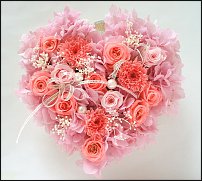 www.floristic.ru - Флористика. Стабилизированные или консервированные растения - аналог искусственных цветов!