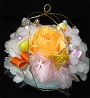www.floristic.ru - Флористика. Стабилизированные или консервированные растения - аналог искусственных цветов!