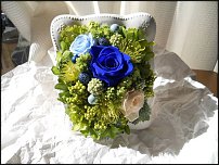 www.floristic.ru - .     -   !