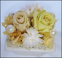 www.floristic.ru - Флористика. Стабилизированные или консервированные растения - аналог искусственных цветов!