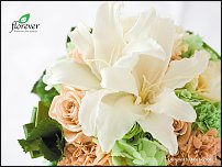 www.floristic.ru - Флористика. Стабилизированные или консервированные растения - аналог искусственных цветов!