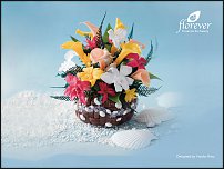 www.floristic.ru - .     -   !