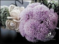 www.floristic.ru - Флористика. Стабилизированные или консервированные растения - аналог искусственных цветов!