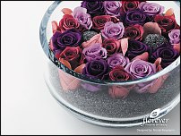 www.floristic.ru - Флористика. Стабилизированные или консервированные растения - аналог искусственных цветов!