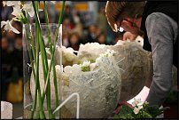 www.floristic.ru - .       , 