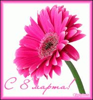 www.floristic.ru - .  8  !