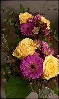 www.floristic.ru - .       - ?