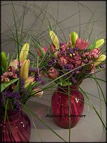 www.floristic.ru - .       - ?