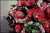 www.floristic.ru - . 