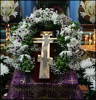 www.floristic.ru - .   .