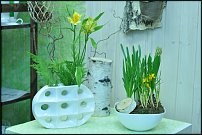 www.floristic.ru - .       - ?