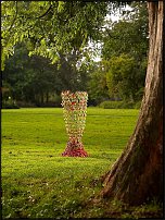 www.floristic.ru - . Pim van den Akker