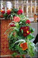 www.floristic.ru - .    