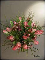 www.floristic.ru - .    -  2012 