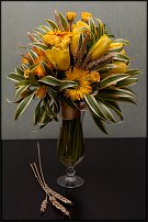 www.floristic.ru - .    -  2012 