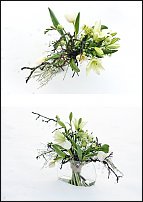 www.floristic.ru - Флористика. Разбор полётов