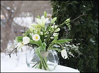 www.floristic.ru - Флористика. Разбор полётов