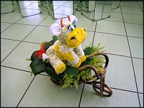 www.floristic.ru - .   ....