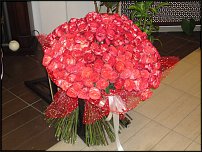 www.floristic.ru - . , !