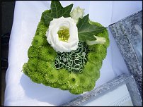 www.floristic.ru - . !!!!!