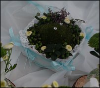 www.floristic.ru - . !!!!!