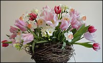 www.floristic.ru - Флористика. Лучшая работа месяца - МАРТ 2012 года