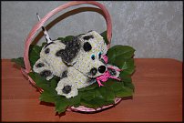 www.floristic.ru - .   ....