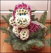 www.floristic.ru - .   ....