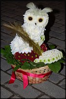 www.floristic.ru - .   ....