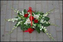 www.floristic.ru - .  