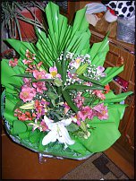 www.floristic.ru - .  