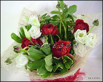 www.floristic.ru - .  