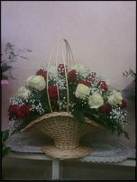 www.floristic.ru - . ,  .