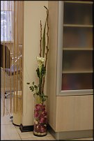 www.floristic.ru - .      .