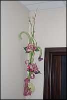 www.floristic.ru - .      .