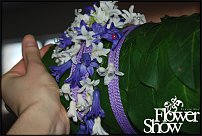 www.floristic.ru - .  