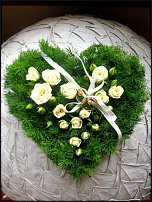 www.floristic.ru - .  