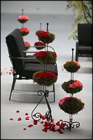 www.floristic.ru - .  