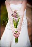 www.floristic.ru - .  .