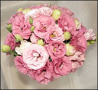 www.floristic.ru - .  