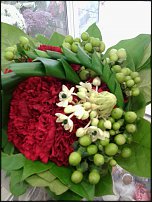 www.floristic.ru - .  