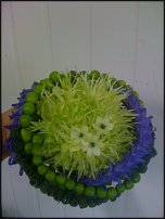 www.floristic.ru - .  .