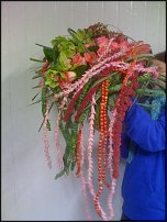 www.floristic.ru - .   