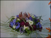 www.floristic.ru - .  