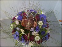 www.floristic.ru - .  