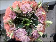 www.floristic.ru - .  