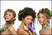 www.floristic.ru - .  