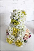 www.floristic.ru - .   ....